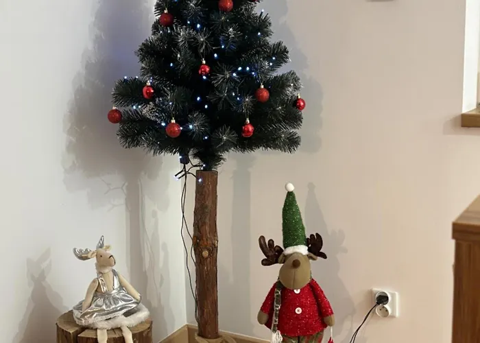 Nad Radunia Apartamento